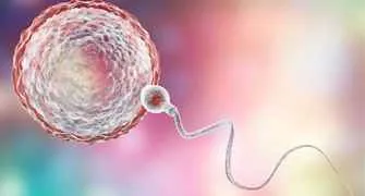 EMBRYO-TRANSFER