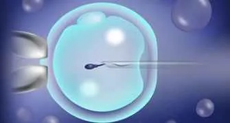 Fertilisation-ICSI
