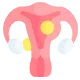 fibroids