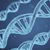 genetic-factor