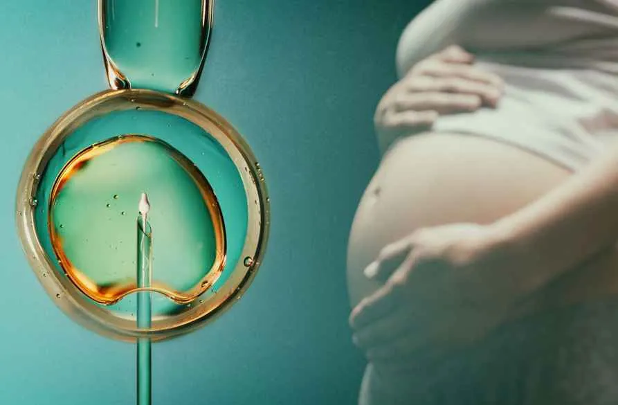 ivf-pregnancy