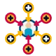 morphology-icon