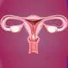 ovulation-disorder-icon