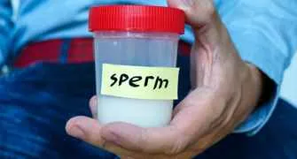 sperm collection