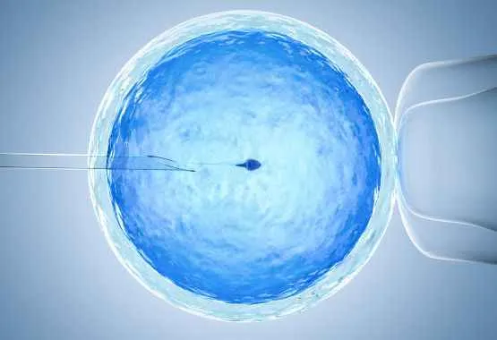 sperm-donor-eligibility